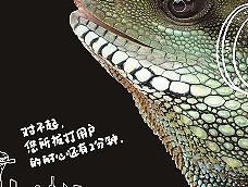 好看的