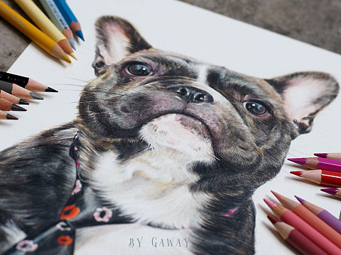 彩铅狗