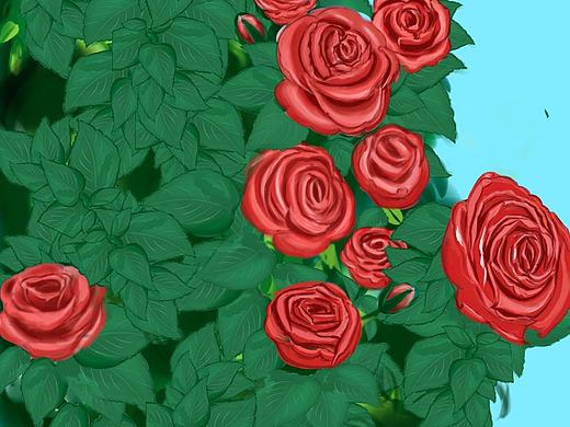 手绘玫瑰（个人主页-ZMTMxODY4NzI=） - 创作习作 - 站酷设计师芒果茶原创素材 - 站酷ZCOOL