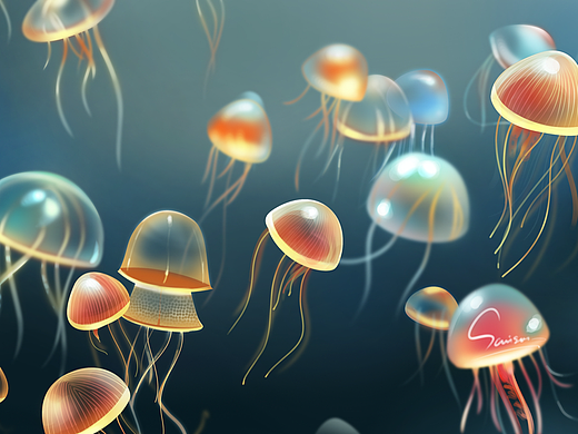 灵光一「线」之海洋精灵