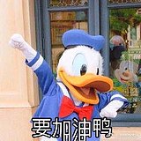 BB88爱酸橙的头像
