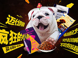 宠物