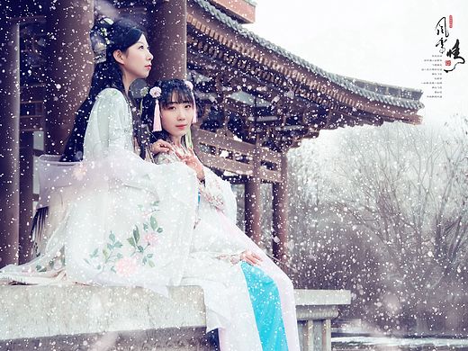 飞雪情