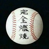 韭菜盒子c的头像