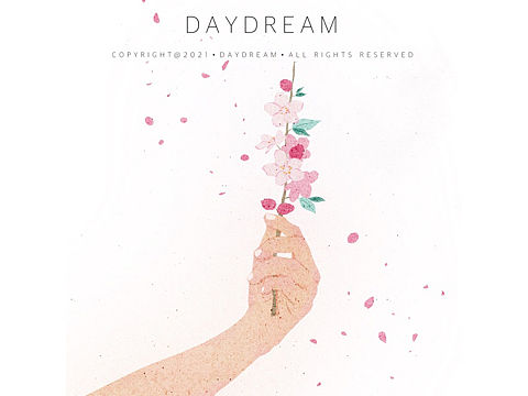 春•桃花。｜by Daydream白日梦 