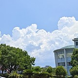 一颗叶子的头像