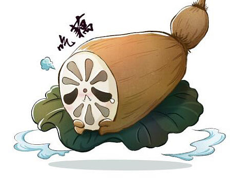 莲藕精