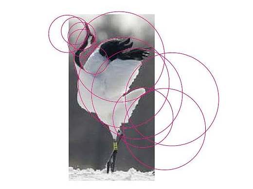 布爾運算（個人主頁-ZMTg2Nzg3NDA=） - 圖標 - 站酷設計師寧_先生原創(chuàng)素材 - 站酷ZCOOL