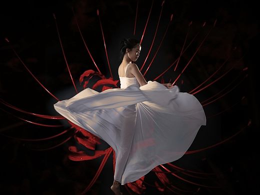 【彼岸花开】Flora's Secret