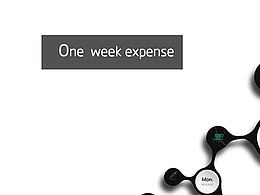 one week expense 信息设计
