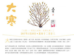 杂志排版