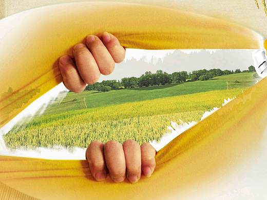 商业广告（阿妈好米）