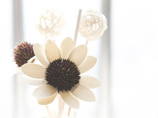 生活（個人主頁-ZMzU0ODkxNg==） - 產(chǎn)品攝影 - 站酷設(shè)計師stancai原創(chuàng)素材 - 站酷ZCOOL