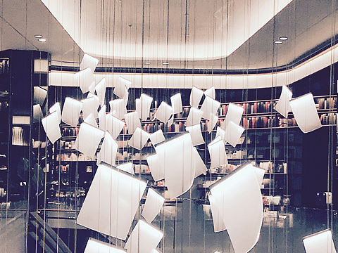 光的叶片,扫过你的眼尾