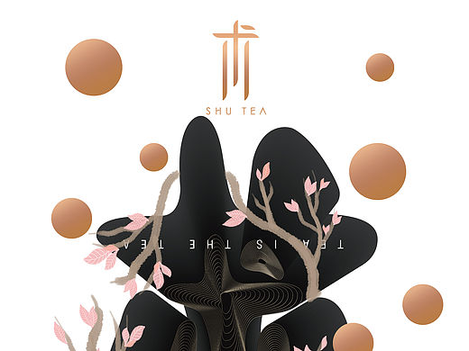 茶叶品牌包装形象设计