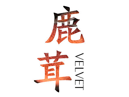 淘宝天猫详情页首页海报广告设计 鹿茸产品设计 海鲜海产干货食谱保健品