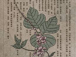 中药