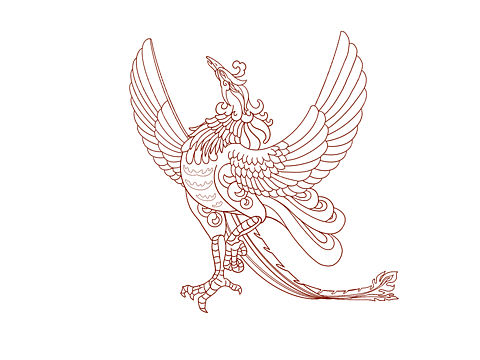凤凰线稿
