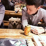 波比弯么i的头像