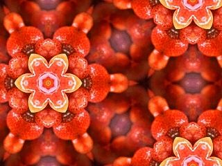 美食万花筒