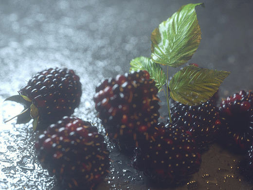 Octane Render：树莓