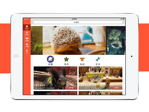 小宠app iPad效果图（个人主页-ZMTU2NzkzMjg=） - APP界面 - 站酷设计师hejyang原创素材 - 站酷ZCOOL