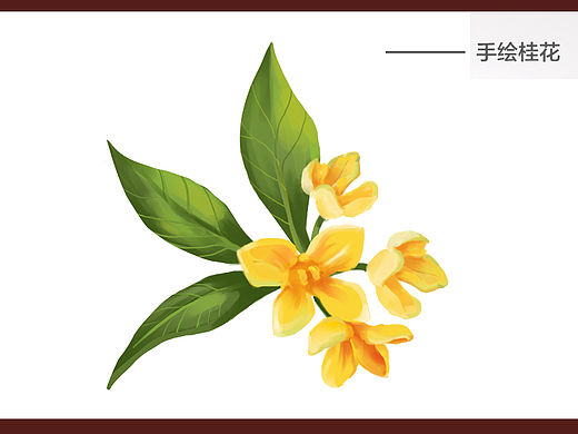 一款酸梅汤的包装