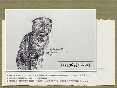 【可愛動物系列】