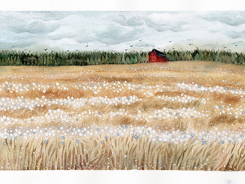 黑白（个人主页-ZMzI2NjU1MDQ=） - 商业插画 - 站酷设计师Bruine原创素材 - 站酷ZCOOL