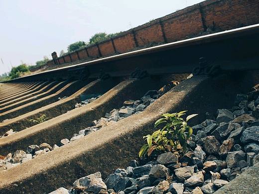 风景为主因为社恐