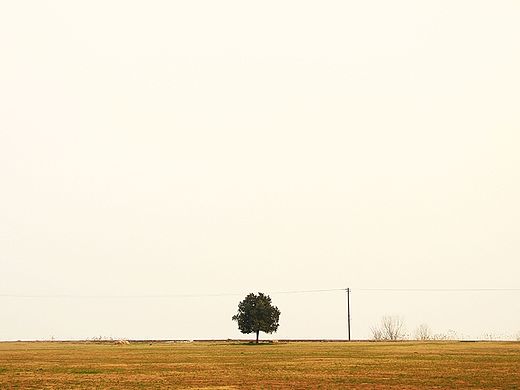 舟山之旅（平凡之路）（个人主页-ZMTIyODI5MzY=） - 风光摄影 - 站酷设计师冀希原创素材 - 站酷ZCOOL