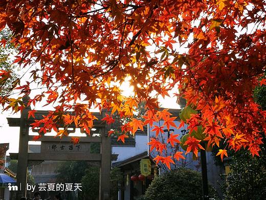 叶子（个人主页-ZMjMyODcyNjg=） - 环境/建筑摄影 - 站酷设计师芸夏的夏天原创素材 - 站酷ZCOOL