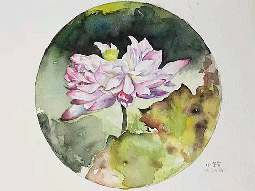 迷水彩之荷花系列