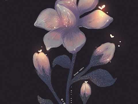 原创插画| 茉莉花