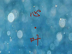 魅族主题图标《心·叶》