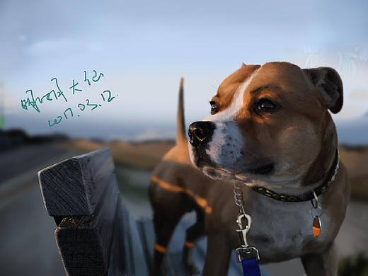 画个东西——蠢汪二狗砸场景教程