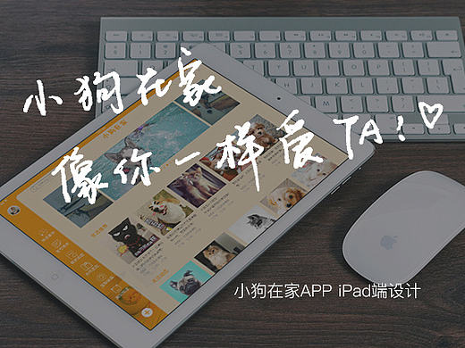小狗在家iPad端设计