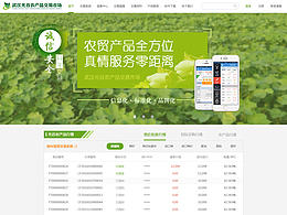 企业官网设计