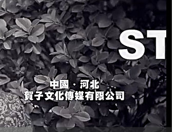 贺川子影视 宣传片拍摄  廊坊影视制作