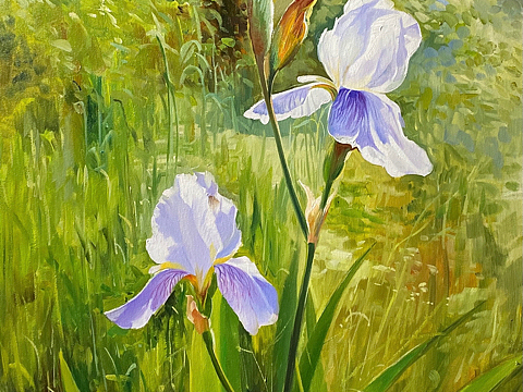 画家张忆杰油画作品鸢尾花