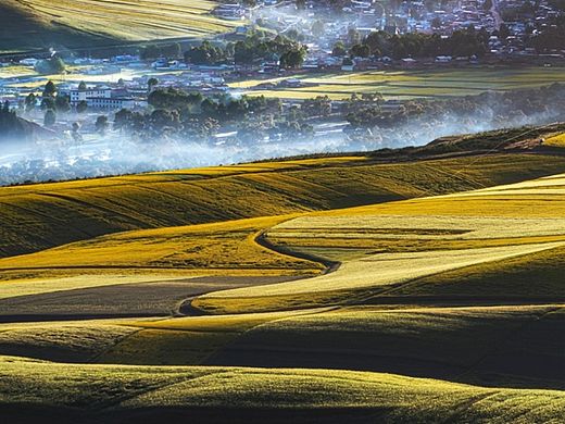 风光，《美景》