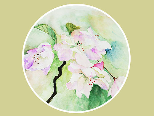 海棠の語（個人主頁-ZMTkzNDQ4ODQ=） - 創(chuàng)作習(xí)作 - 站酷設(shè)計師莎野創(chuàng)研原創(chuàng)素材 - 站酷ZCOOL