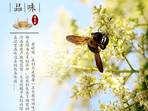 电子商务详情页面