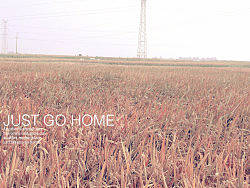 回归（个人主页-ZMTY1MzQwNA==） - 风光摄影 - 站酷设计师尼桑1990原创素材 - 站酷ZCOOL