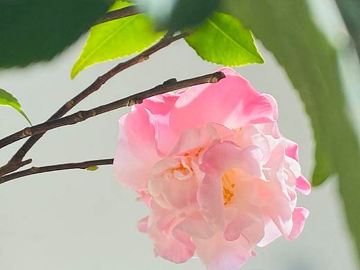 我向你奔赴而来