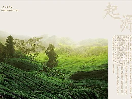 净心茶室画册排版