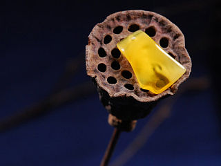 画意中的琥珀和蜜蜡