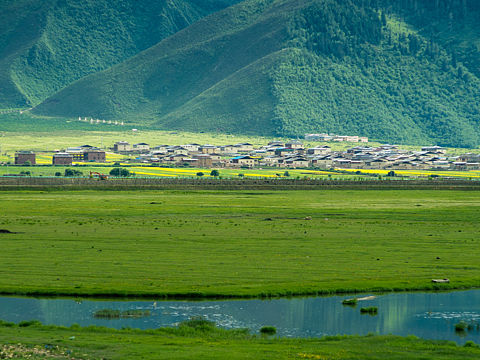 香格里拉-梦幻之境