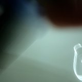 广西摄影师書荔的头像