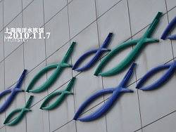 上海海洋水族馆（个人主页-ZNzk5Mzgw） - 人文/纪实摄影 - 站酷设计师pchmonster原创素材 - 站酷ZCOOL